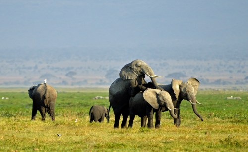 Just fooling around!