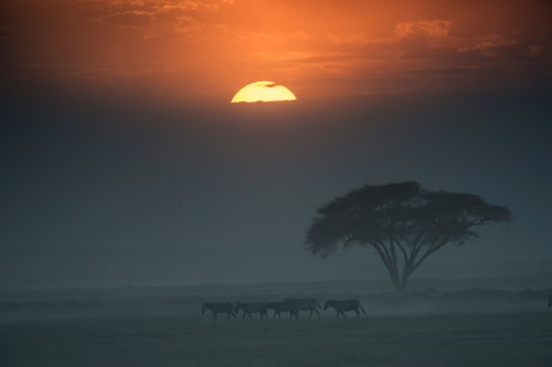 Sunset over Amboseli