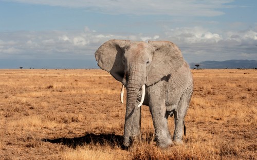 Here's looking at you!