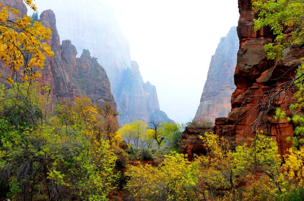 Zion National Park
