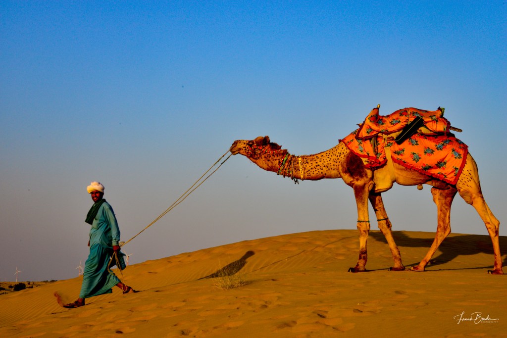 Incredible India – Part II