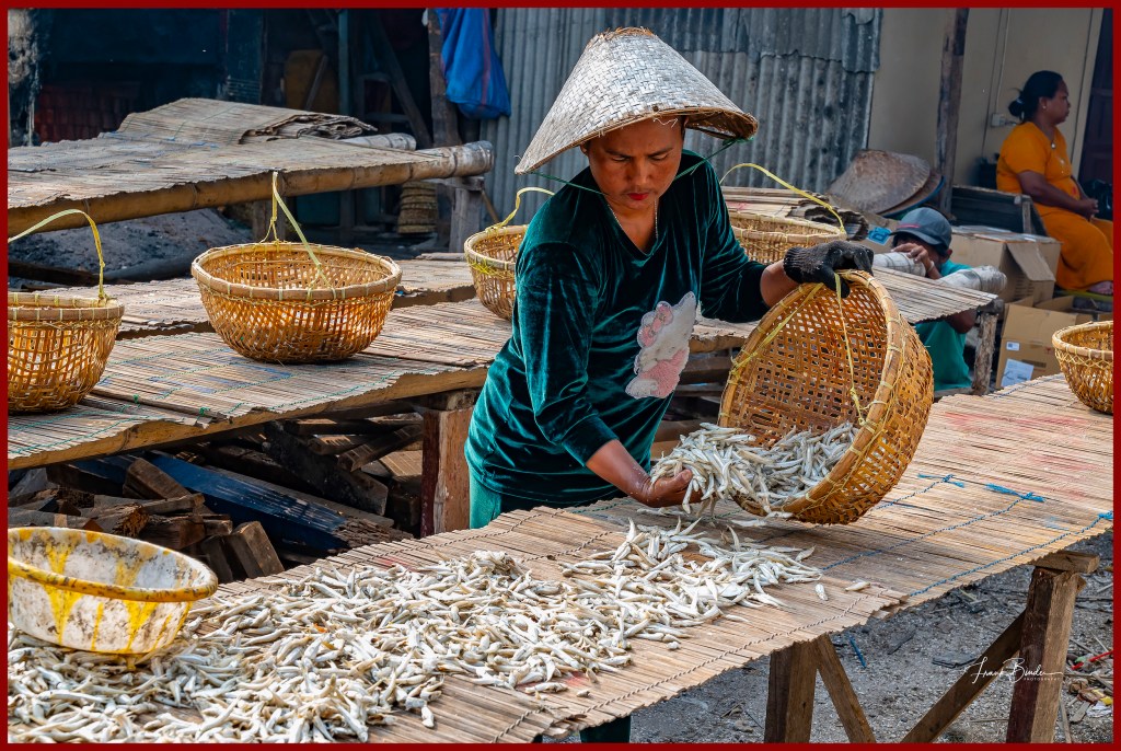 Fishing Operations in Jakarta