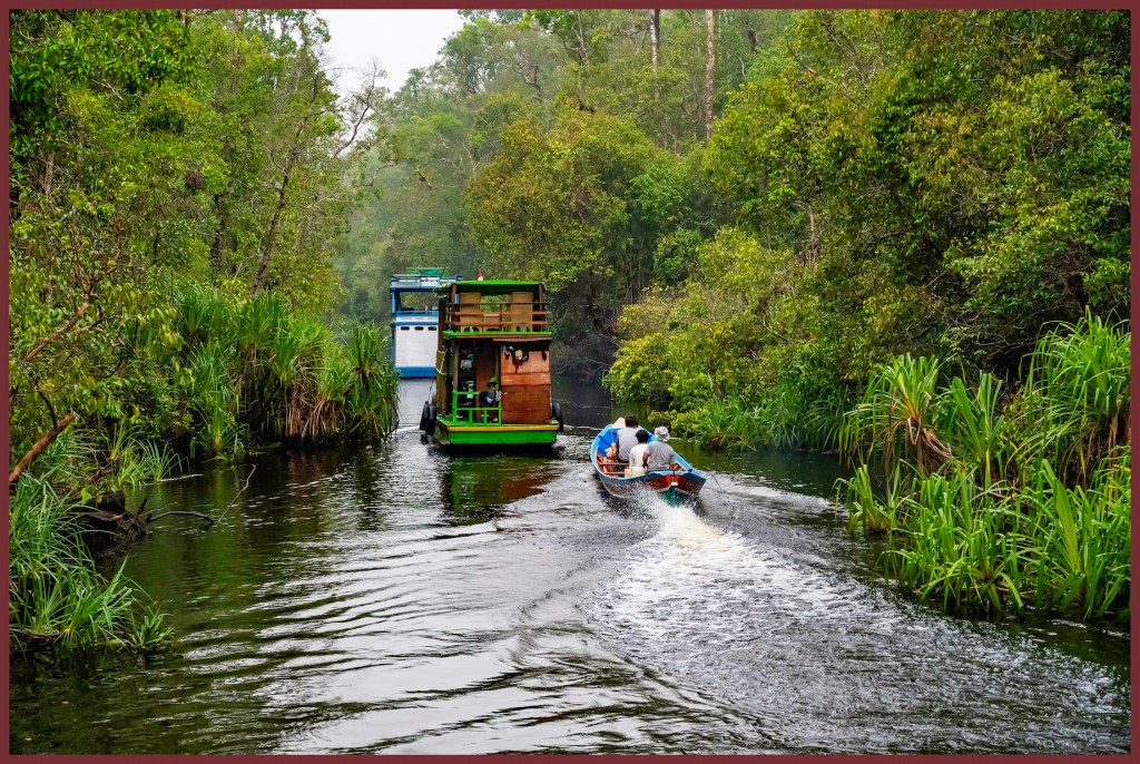 Tanjung Puting National Park